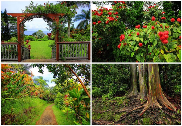 عکس های دیدنی جزیره مائویی در هاوایی