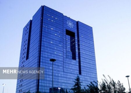 جزئیات توسعه «کیف پول ایران»؛ سقف تراکنش‌ها ۵ میلیون تومان شد