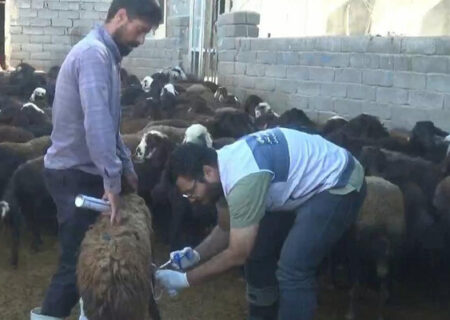 اردوی جهادی دامپزشکی در روستاهای هشترود