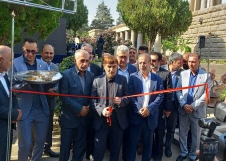 جشنواره گیاهان دارویی «حکیم هزاره» در آرامگاه بوعلی‌سینا افتتاح شد