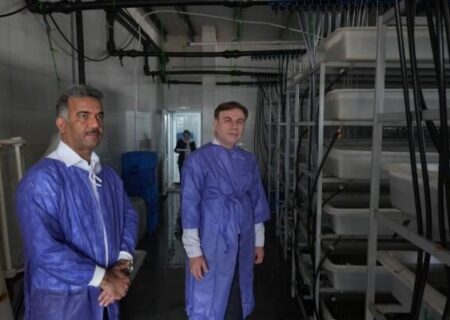 رونق اقتصاد دانش‌بنیان در تنگستان؛ توسعه واحدهای آبزی پروری