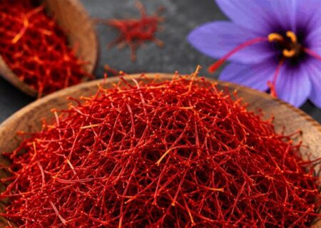 تحول در زنجیره ارزش زعفران و گیاهان دارویی خراسان رضوی