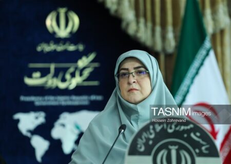 مهاجرانی: 80 درصد طلب گندمکاران پرداخت شد/ تدابیر حمایت از معیشت مردم