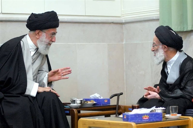 رهبر شهید در نگاه مرجعیت بیدار شیعه؛ مجاهدی بصیر، شجاع و خستگی‌ناپذیر