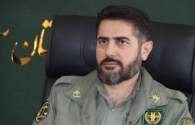 آغاز «گاو بانگی» و فصل عاشقی مرال‌ها در جنگل‌های استان سمنان