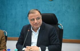 طهماسبی: حمایت از تولید، مسیر کاهش وابستگی به خارج است