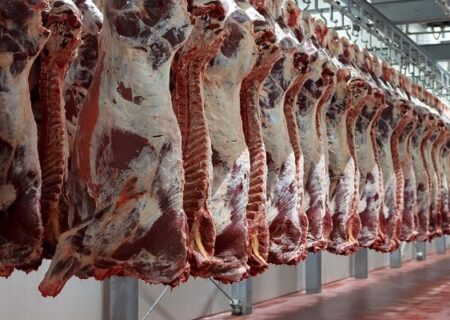 پیگیری برای بازگشایی مجدد کشتارگاه صنعتی ایلام