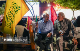 شب ۲۱۵ حماسه آفرینی مشهدی‌ها؛ گام‌های استوار سالمندان در تداوم تجمعات