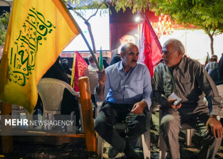 شب ۲۱۵ حماسه آفرینی مشهدی‌ها؛ گام‌های استوار سالمندان در تداوم تجمعات