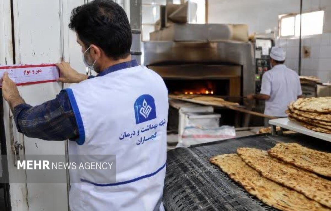 مهر و موم ۶ نانوایی در گچساران به دلیل مصرف بیش از حد نمک