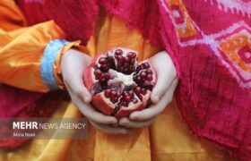 قصه ماندگار انار در اشتبین؛ از حمل محصول با قاطر تا صادرات